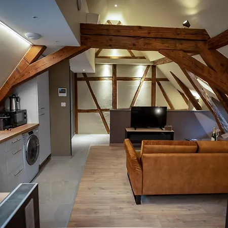 Serenity - De Prestige 4 Et 5 Etoiles - 2, 4 Et 6 Personnes- Centre Historique Appartement Colmar
