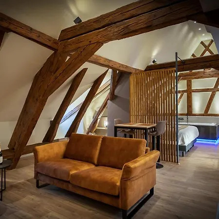 Serenity - De Prestige 4 Et 5 Etoiles - 2, 4 Et 6 Personnes- Centre Historique Colmar