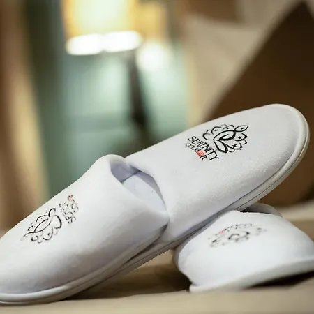 Serenity - De Prestige 4 Et 5 Etoiles - 2, 4 Et 6 Personnes- Centre Historique Apartment Colmar