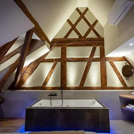 Serenity - De Prestige 4 Et 5 Etoiles - 2, 4 Et 6 Personnes- Centre Historique * Colmar