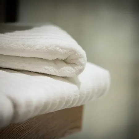 Appartement Serenity - De Prestige 4 Et 5 Etoiles - 2, 4 Et 6 Personnes- Centre Historique Colmar