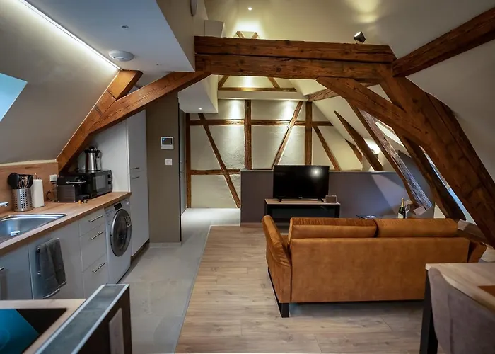 Serenity - De Prestige 4 Et 5 Etoiles - 2, 4 Et 6 Personnes- Centre Historique Apartment Colmar