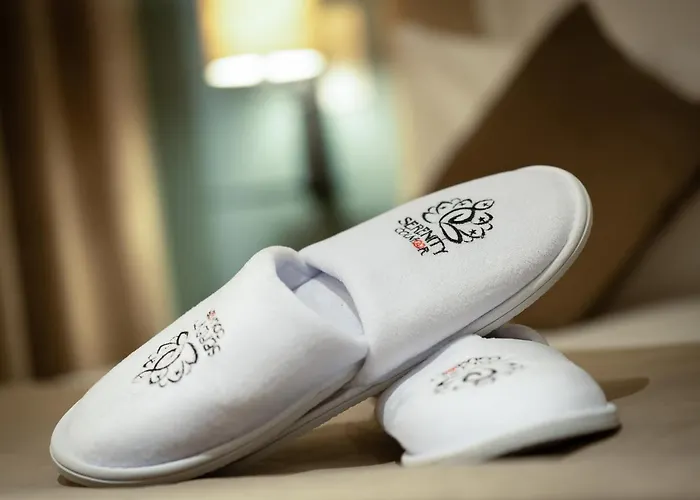 Serenity - De Prestige 4 Et 5 Etoiles - 2, 4 Et 6 Personnes- Centre Historique Apartment Colmar