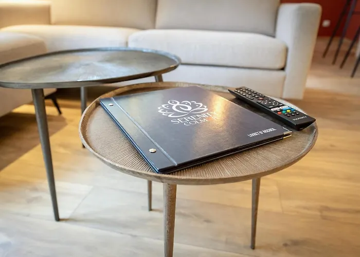 Serenity - De Prestige 4 Et 5 Etoiles - 2, 4 Et 6 Personnes- Centre Historique Apartment Colmar