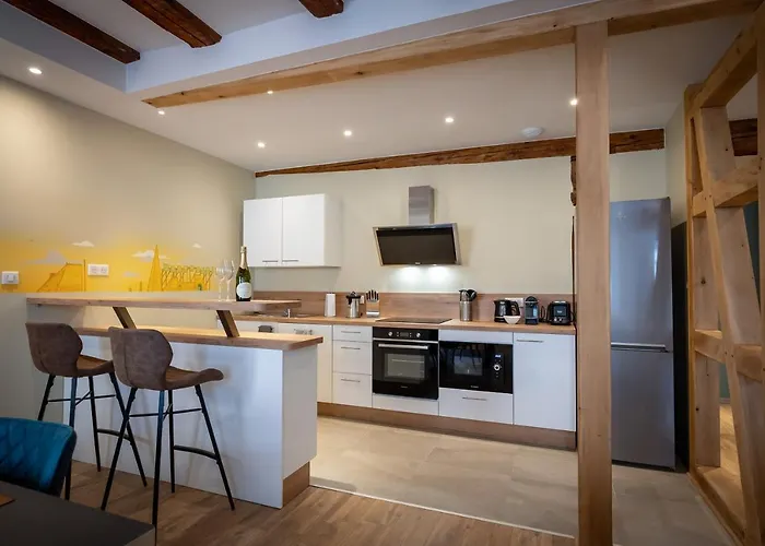 Apartment Serenity - De Prestige 4 Et 5 Etoiles - 2, 4 Et 6 Personnes- Centre Historique Colmar