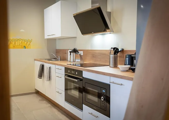 Serenity - De Prestige 4 Et 5 Etoiles - 2, 4 Et 6 Personnes- Centre Historique Apartment Colmar